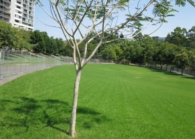 Roma Street Parklands Remediation & Irrigation